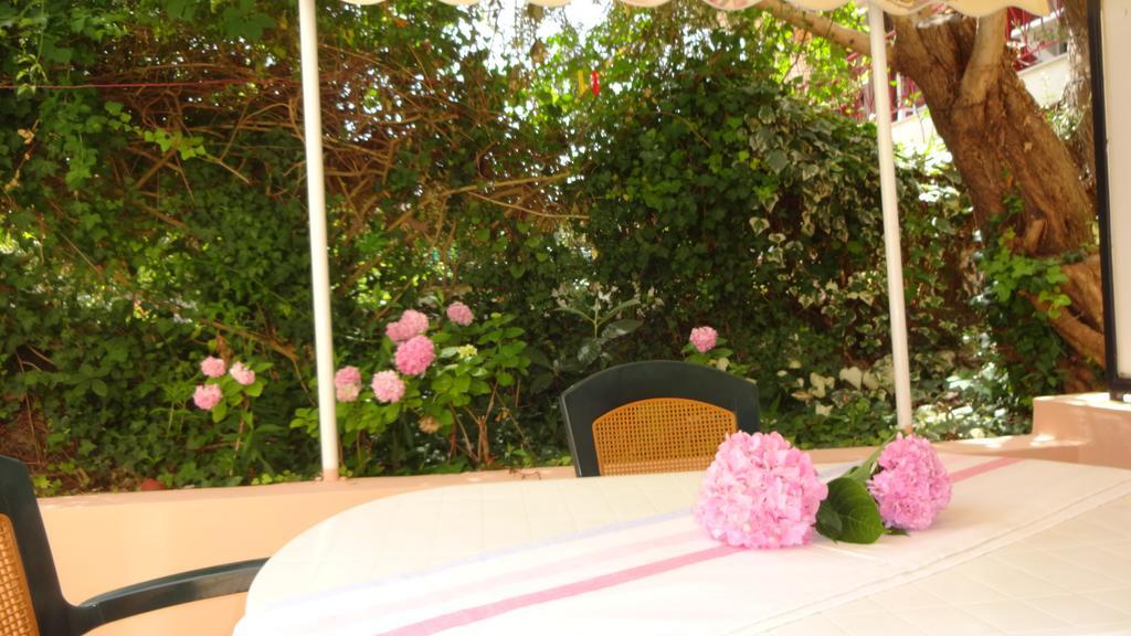 Pansion Filoxenia Apartments & Studios Tsoukaládhes Dış mekan fotoğraf