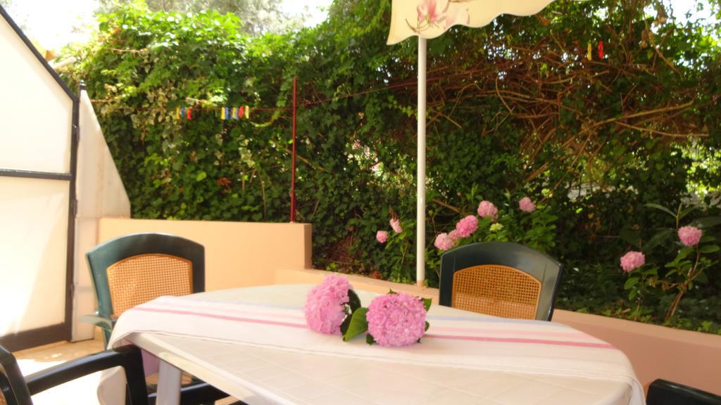 Pansion Filoxenia Apartments & Studios Tsoukaládhes Dış mekan fotoğraf