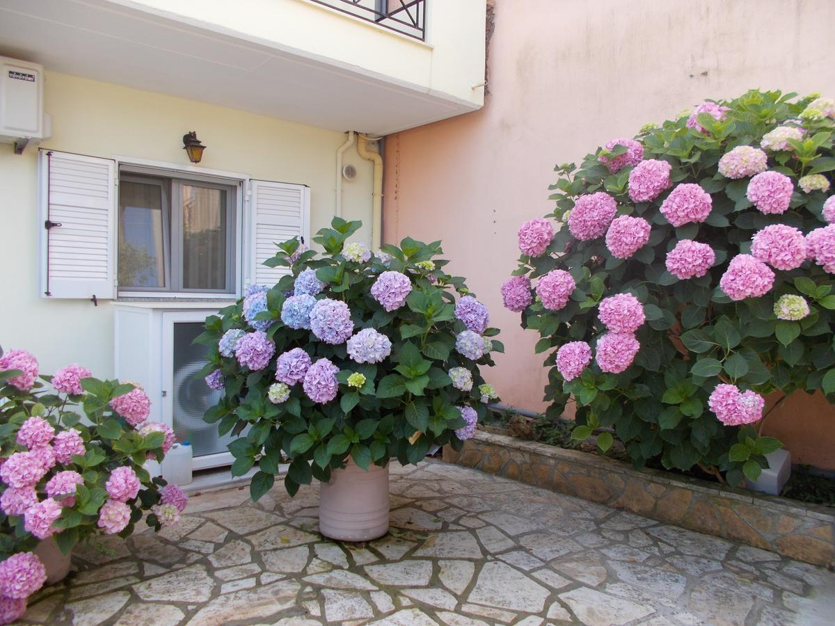 Pansion Filoxenia Apartments & Studios Tsoukaládhes Dış mekan fotoğraf
