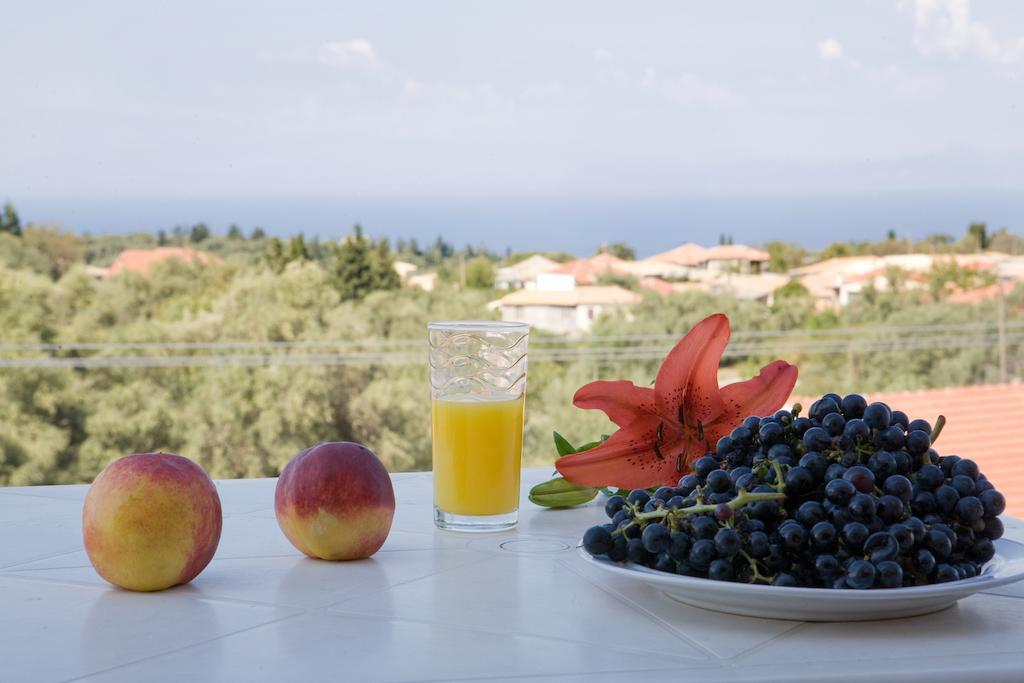 Pansion Filoxenia Apartments & Studios Tsoukaládhes Dış mekan fotoğraf